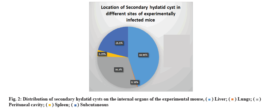 IJPS-hydatid