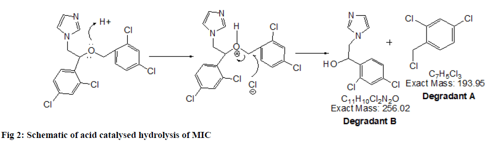 IJPS-hydrolysis
