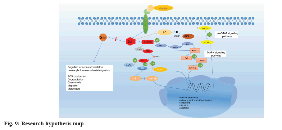 IJPS-hypothesis