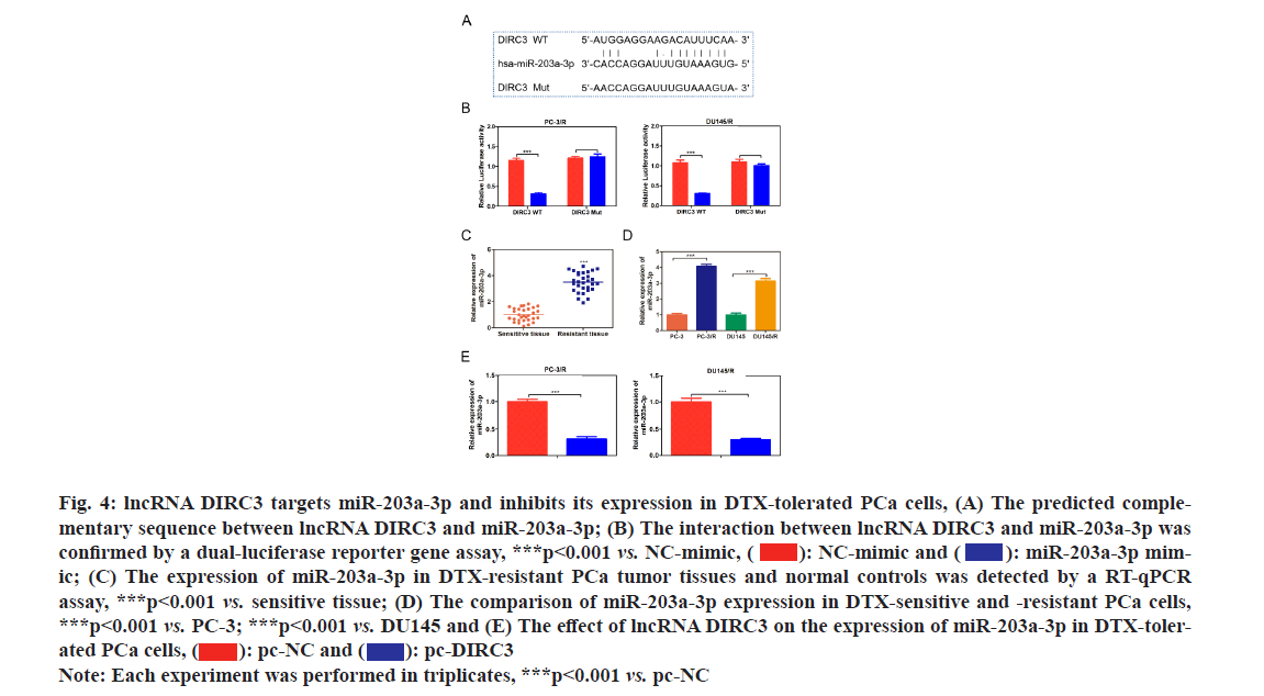 IJPS-inhibits