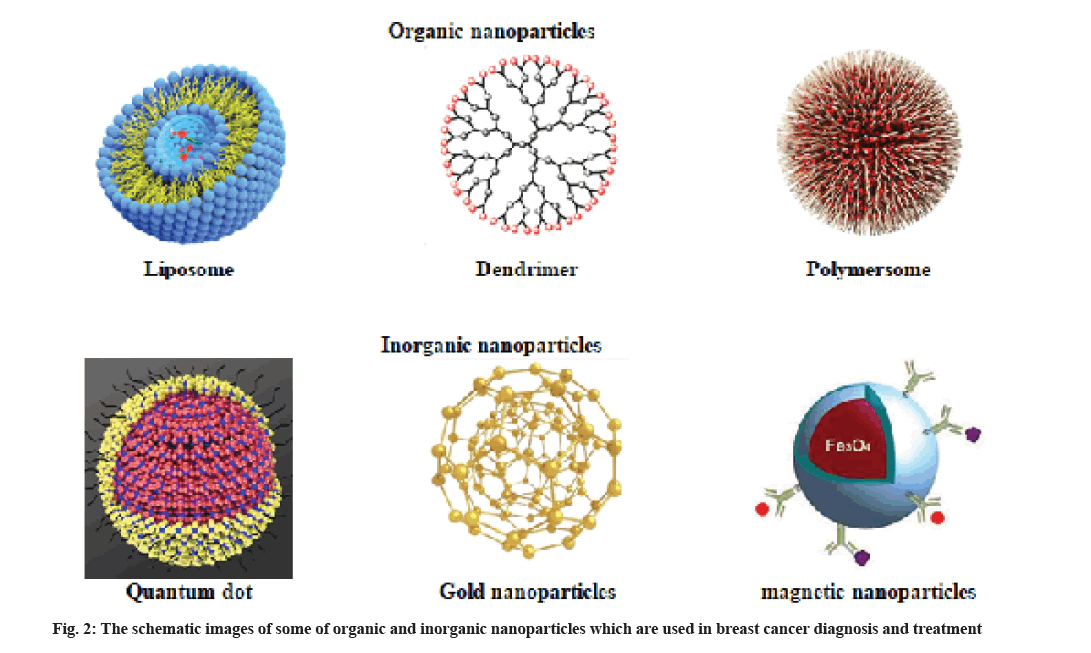 IJPS-inorganic