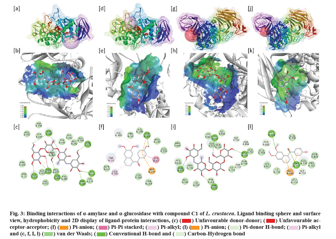 IJPS-interactions