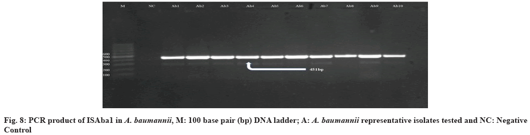 IJPS-ladder