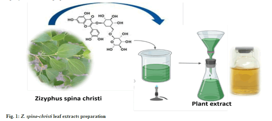 IJPS-leaf