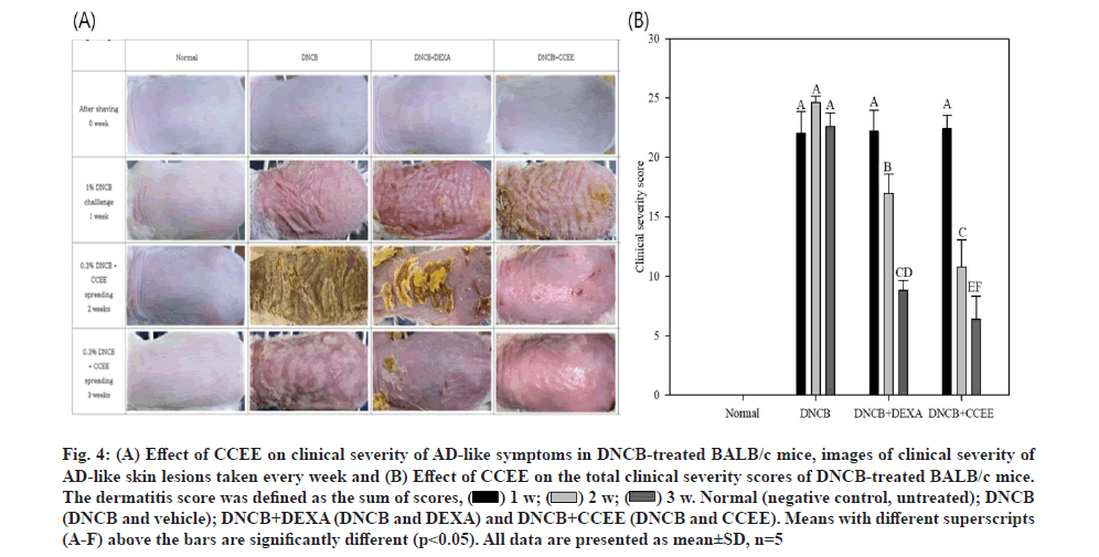 IJPS-lesions