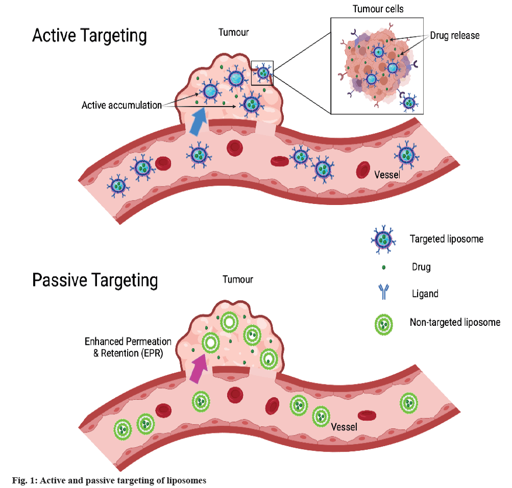 liposomes