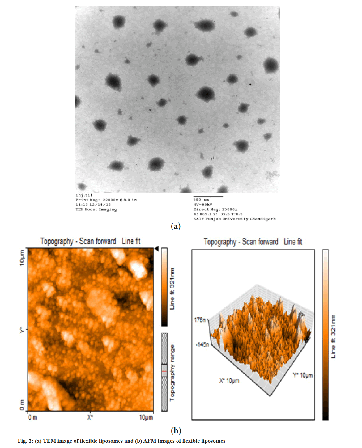 IJPS-liposomes