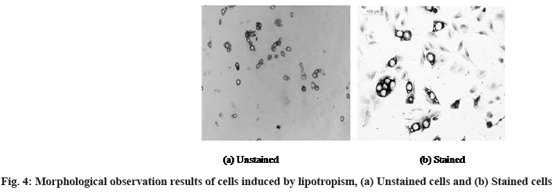 IJPS-lipotropism