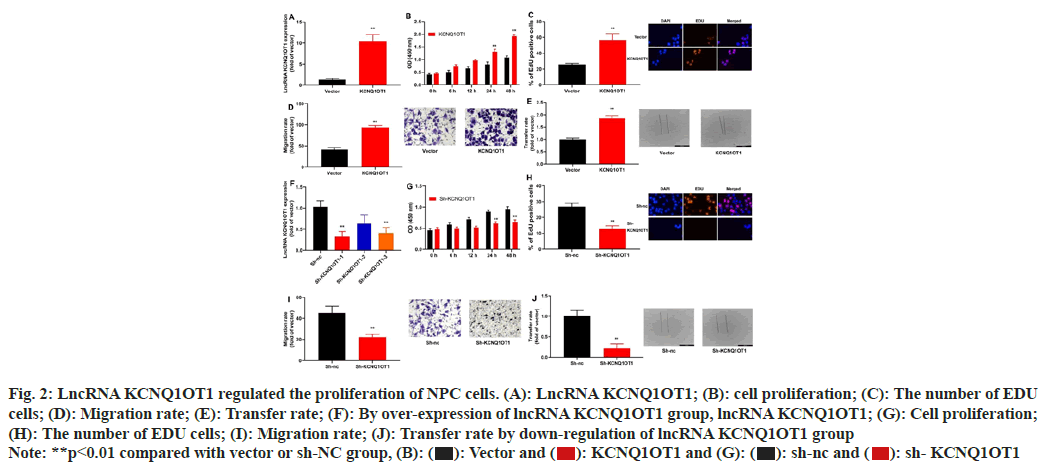 IJPS-lncRNA