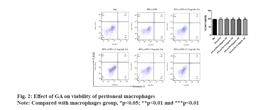 IJPS-macrophages