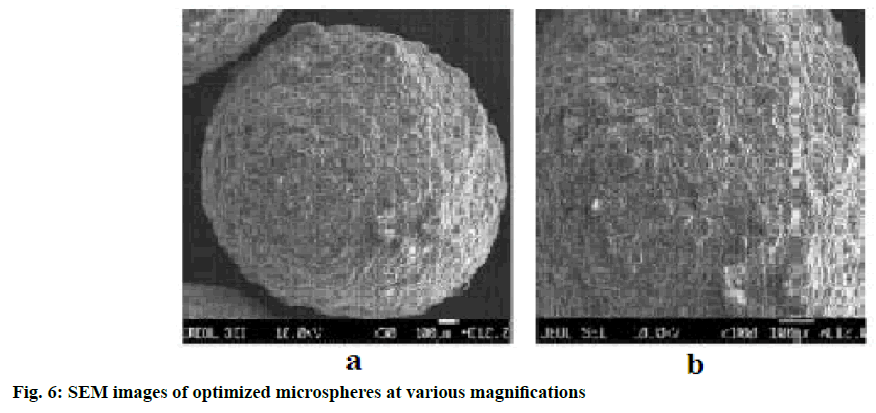 IJPS-magnifications