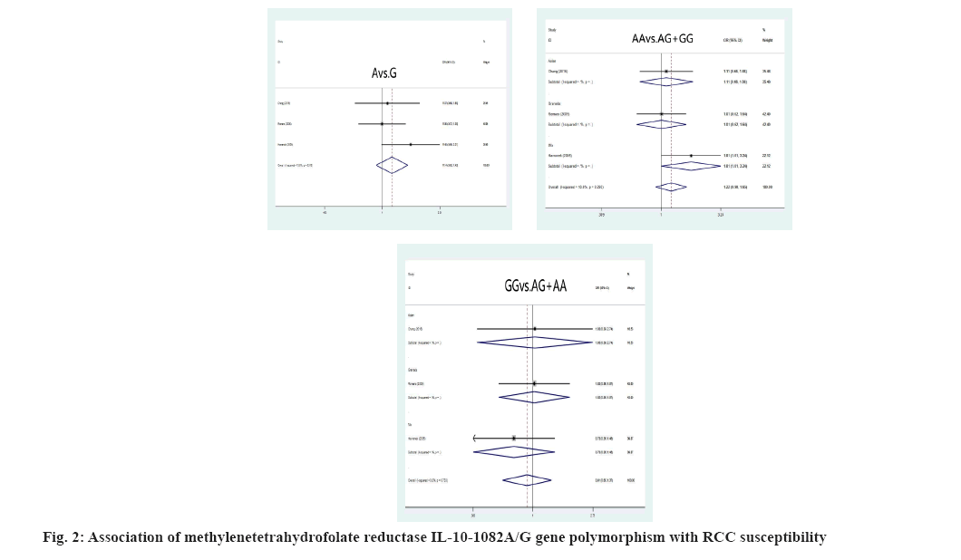 IJPS-methylenetetrahydrofolate