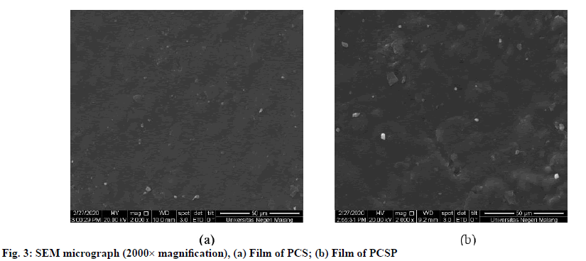 IJPS-micrograph