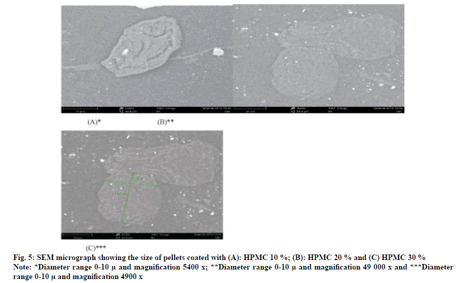 IJPS-micrograph