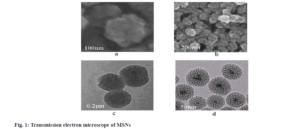 IJPS-microscope