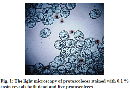 IJPS-microscopy