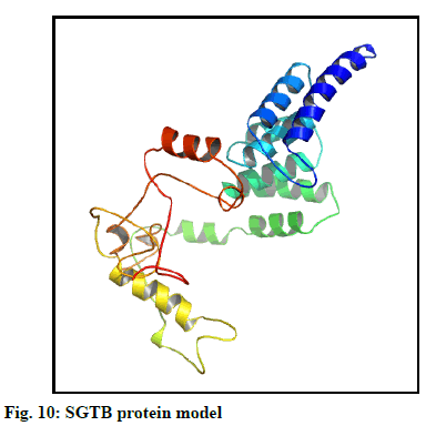 IJPS-model