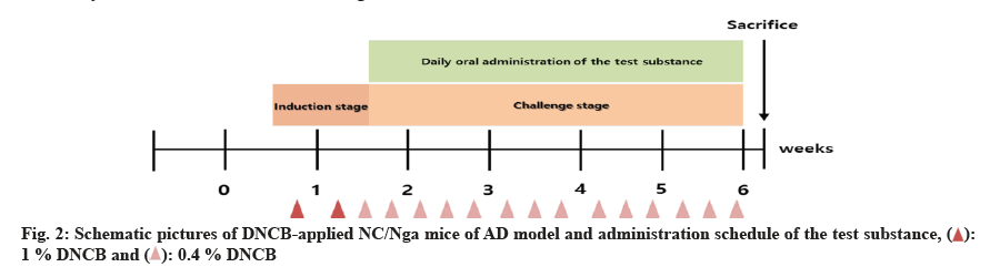 IJPS-model