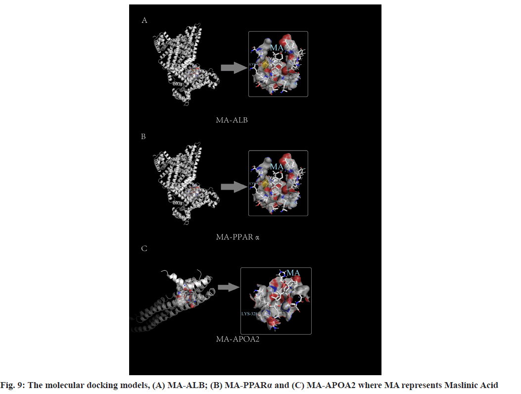 IJPS-molecular