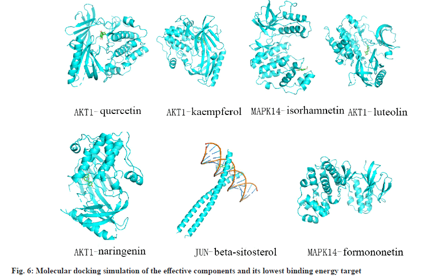 IJPS-molecular-docking