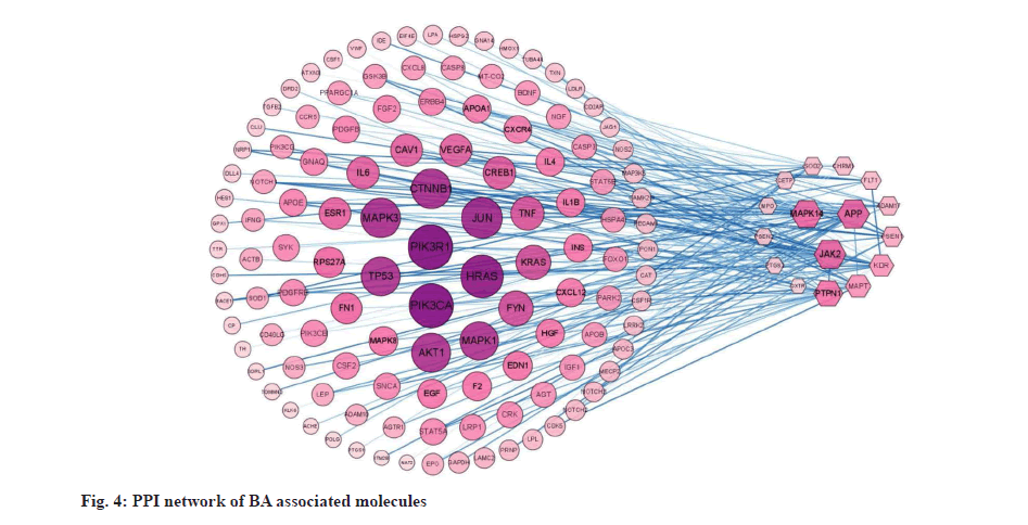 IJPS-network