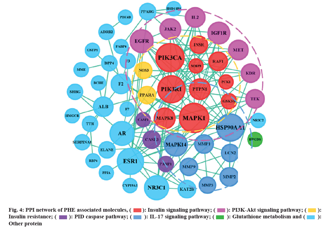 IJPS-network