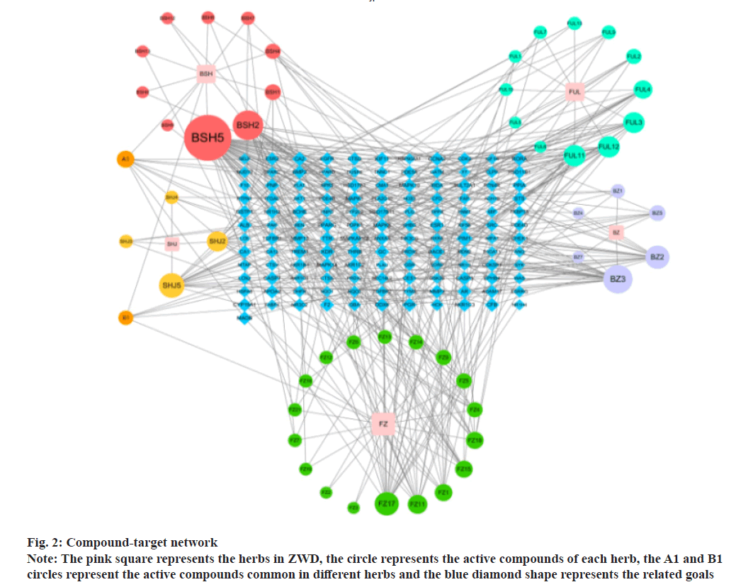 IJPS-network