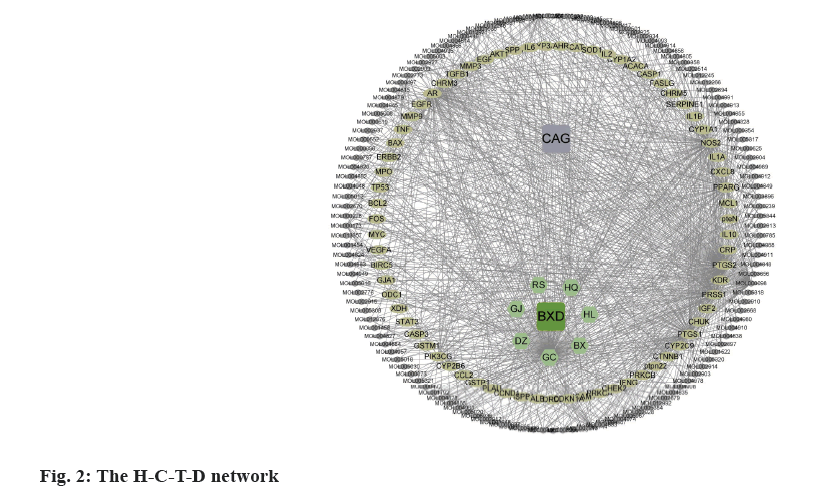 IJPS-network