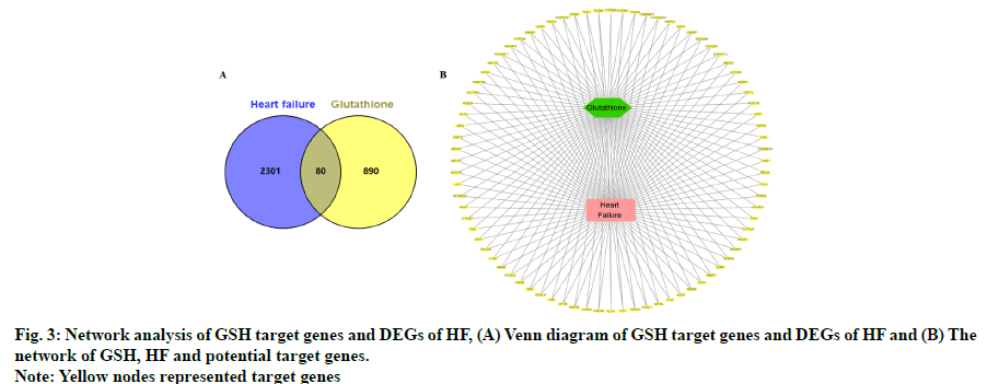 IJPS-network-analysis