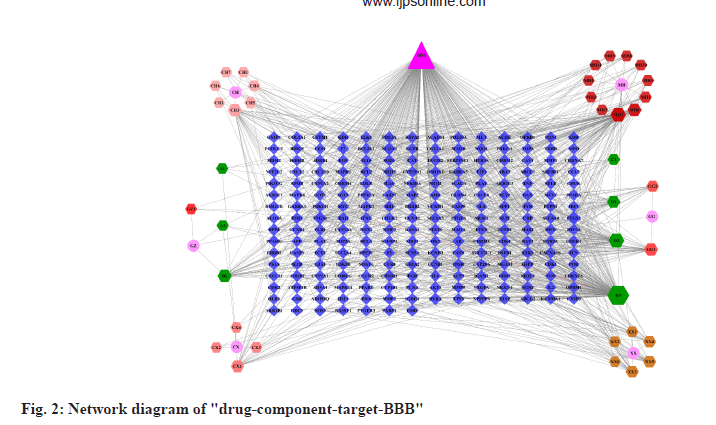 IJPS-network-diagram