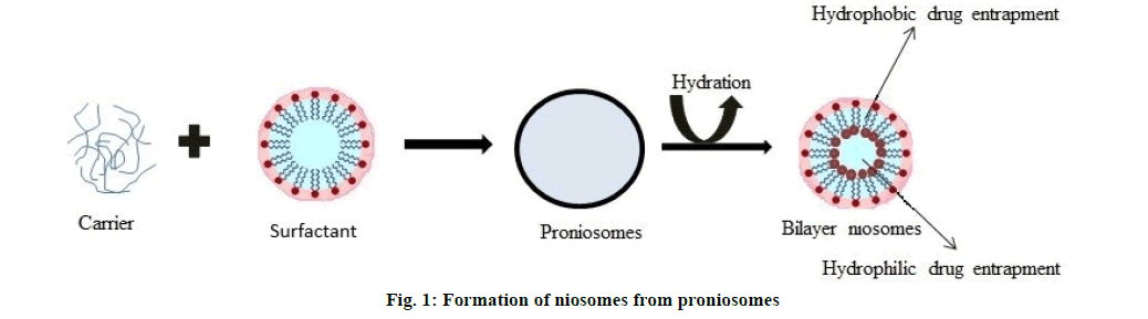 IJPS-niosomes