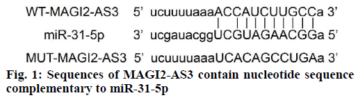 IJPS-nucleotide