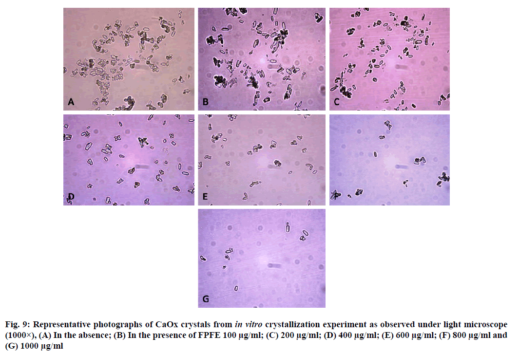 IJPS-observed