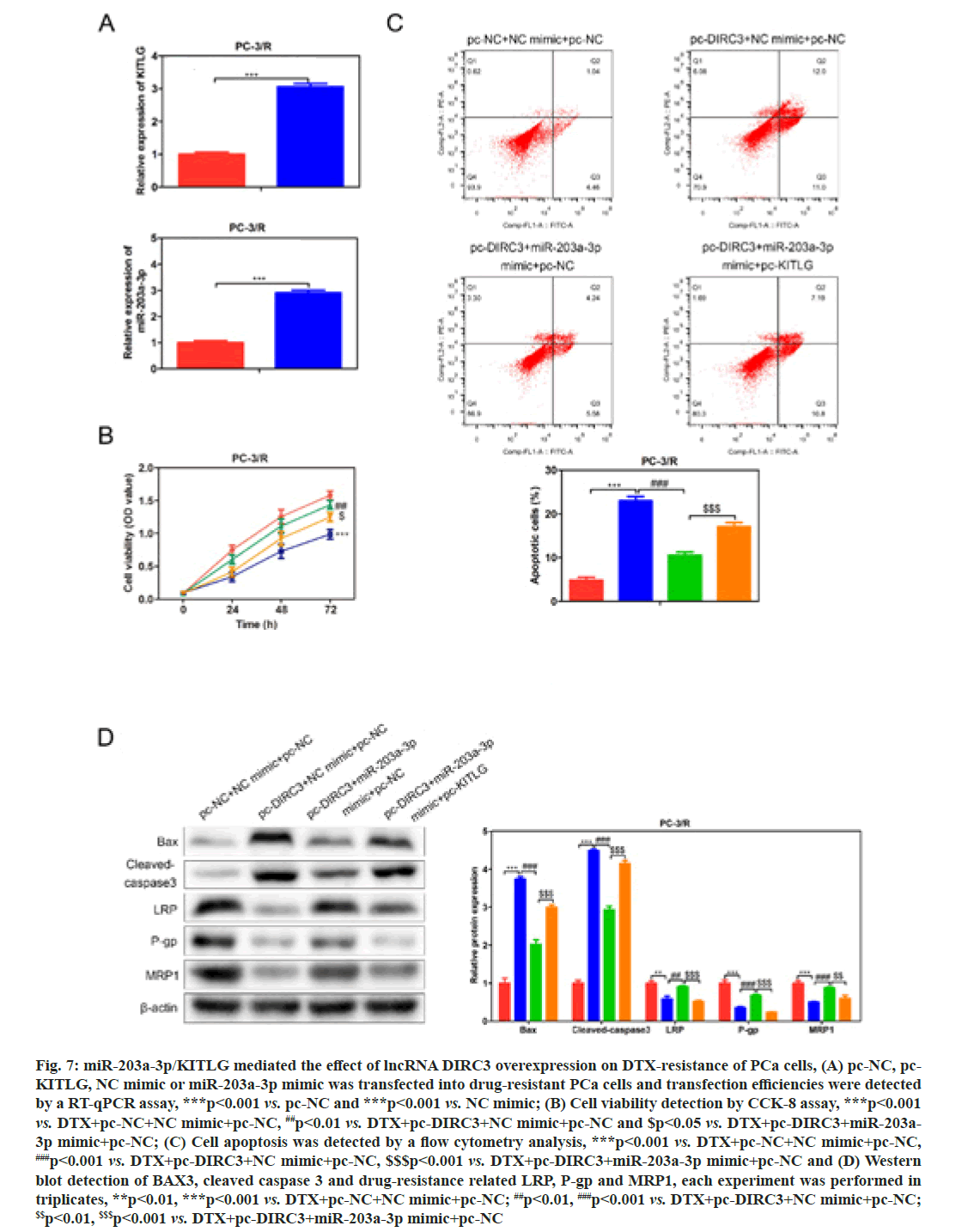 IJPS-overexpression