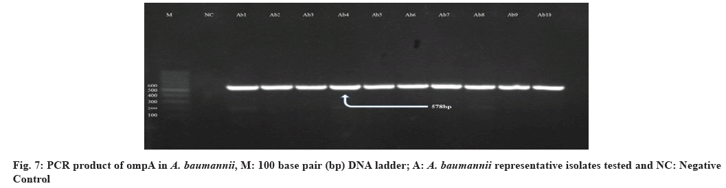 IJPS-pair