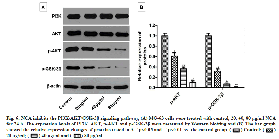 IJPS-pathway