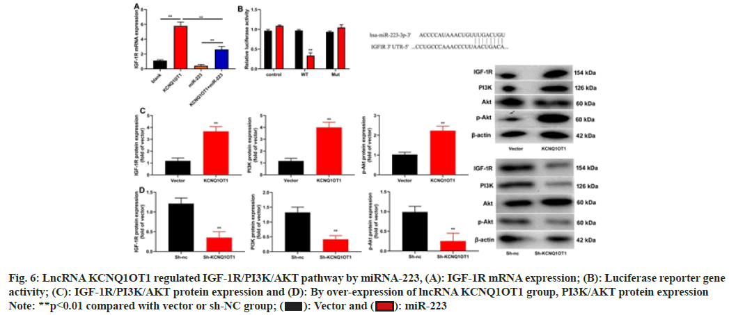 IJPS-pathway