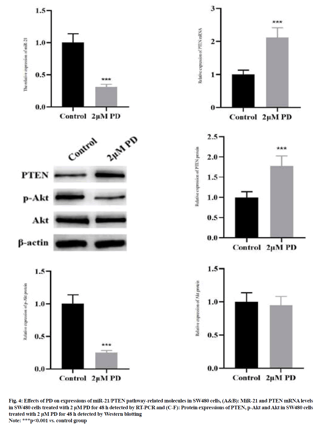 /IJPS-pathway-related