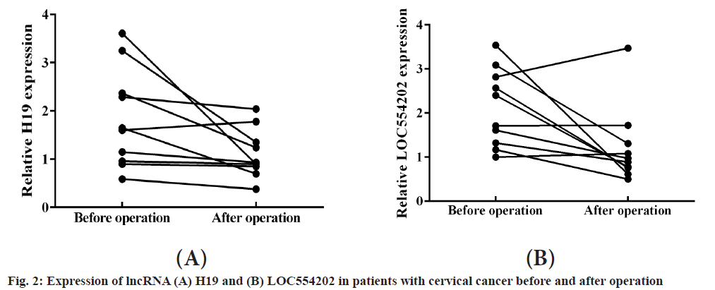 IJPS-patients