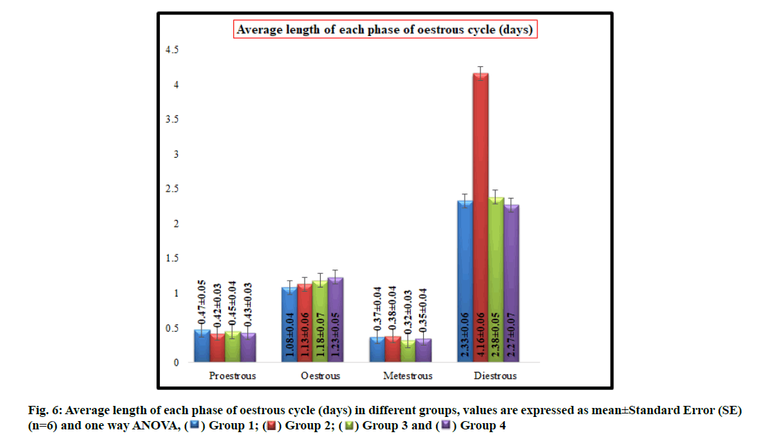 IJPS-phase