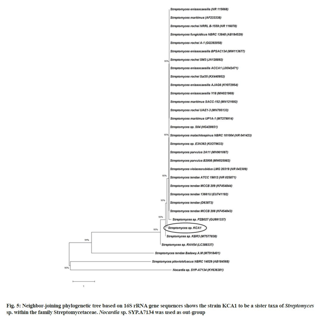 IJPS-phylogenetic