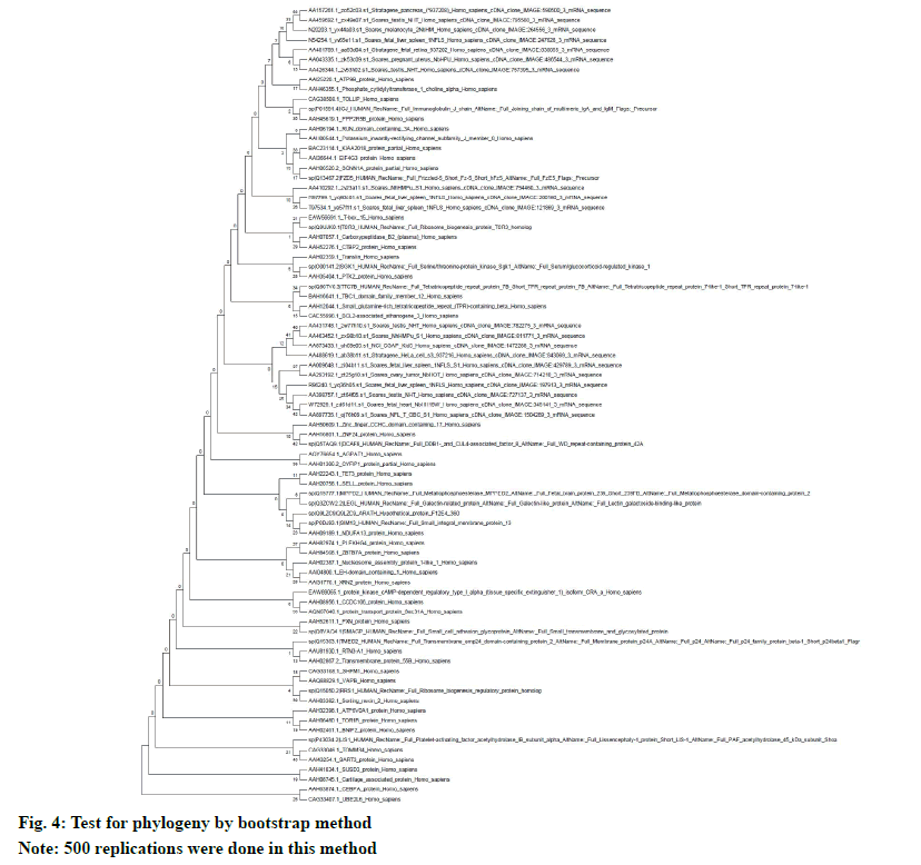 IJPS-phylogeny