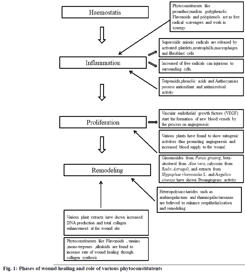 phytoconstitutents