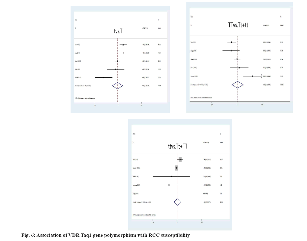 IJPS-polymorphism