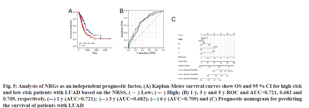 IJPS-prognostic