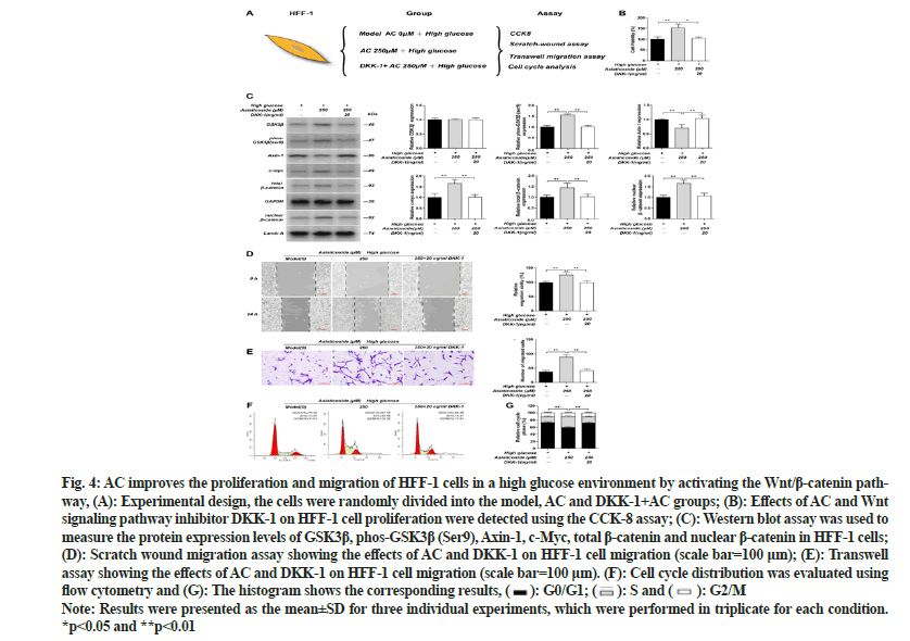 IJPS-proliferation