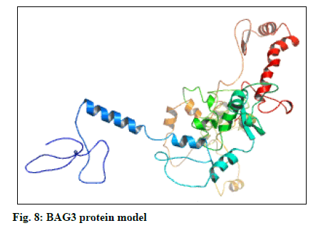 IJPS-protein