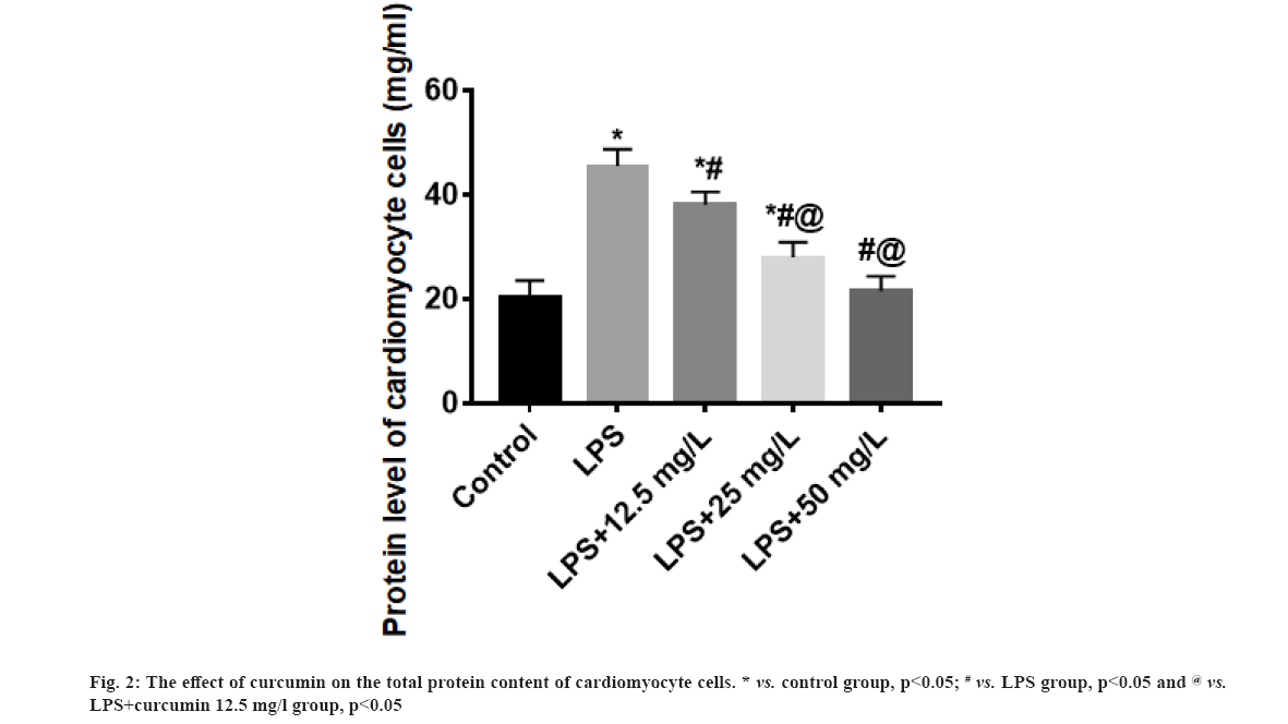 IJPS-protein