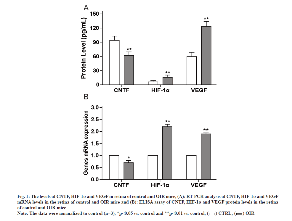 IJPS-protein