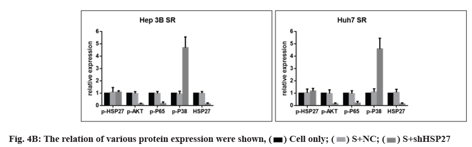 IJPS-protein